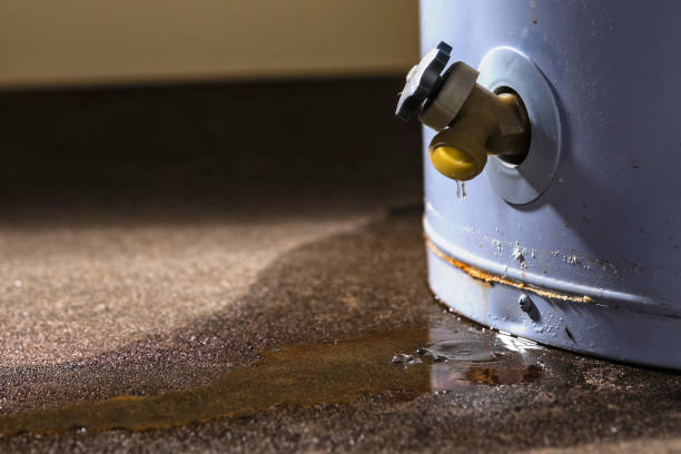 Best Water damage restoration near me  in Fort Washakie, WY