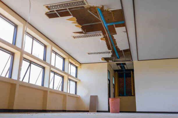 Best Basement water damage restoration  in Fort Washakie, WY