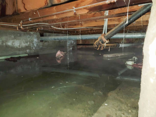 Water damage restoration process in WY