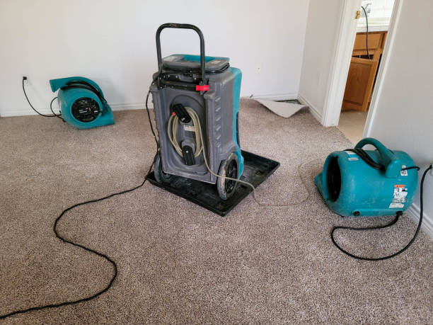 Carpet water damage restoration in WY