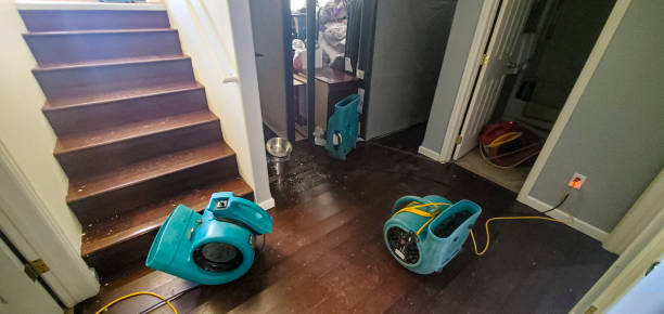 Best Water damage restoration near me  in Fort Washakie, WY