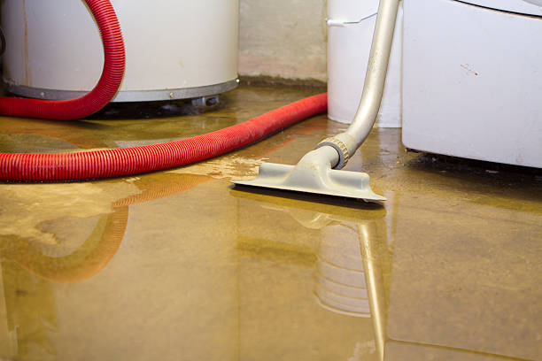 Best Mold removal after water damage  in Fort Washakie, WY