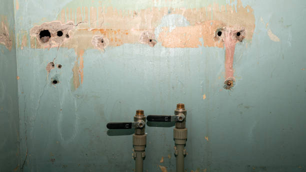 Reliable WY Water damage restoration Solutions