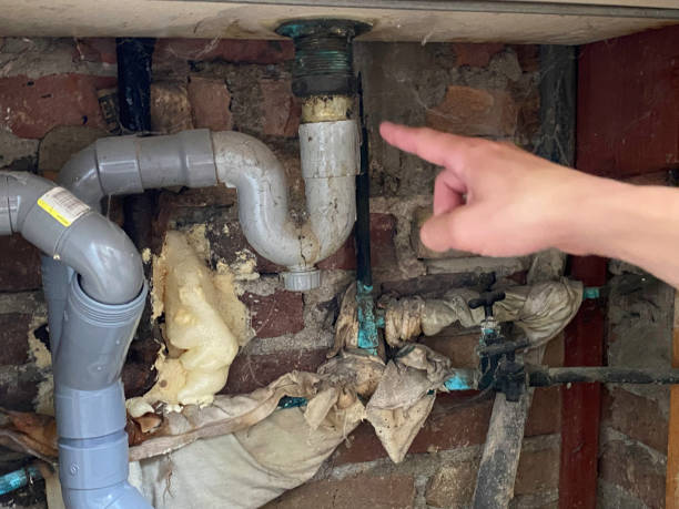 Best Flood restoration services  in Fort Washakie, WY